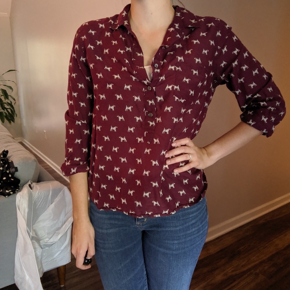 Terrier Dog Blouse